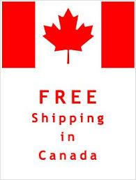 Why Our Free Shipping Feature is More Important Than Ever – Fun Foods