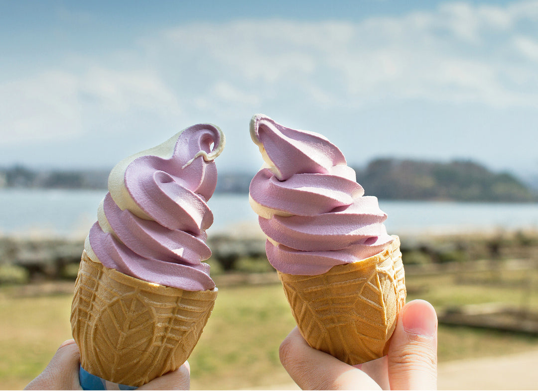 Private Label Ice Cream Mix Manufacturer and Supplier