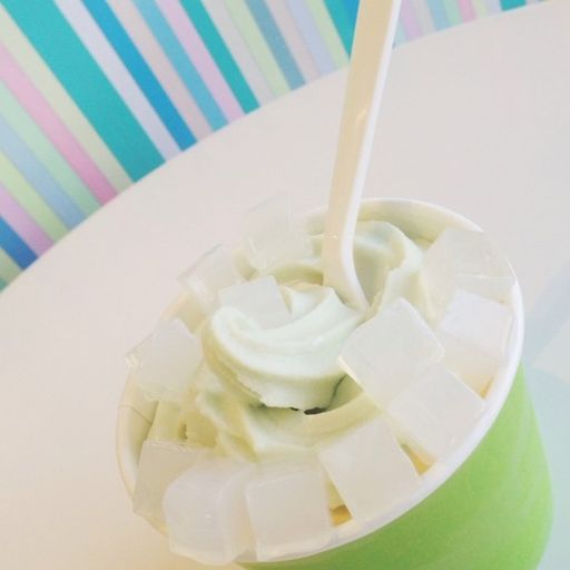 Start Your Own Frozen Yogurt Store (SelfServe Style or FullServe