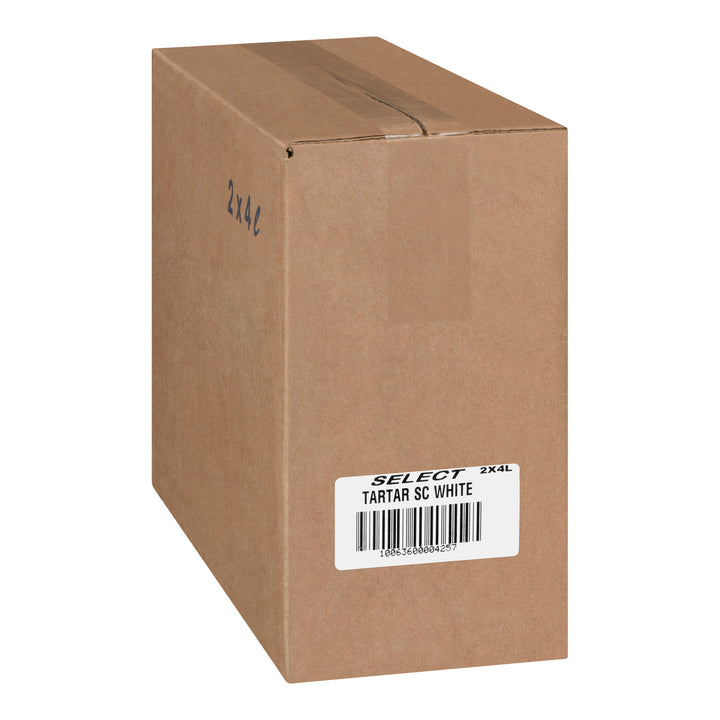 Sauce Tartare Blanche - 2 x 4 L - Select Food Pro - Ingrédients pour restaurants et services de restauration - Distribution canadienne