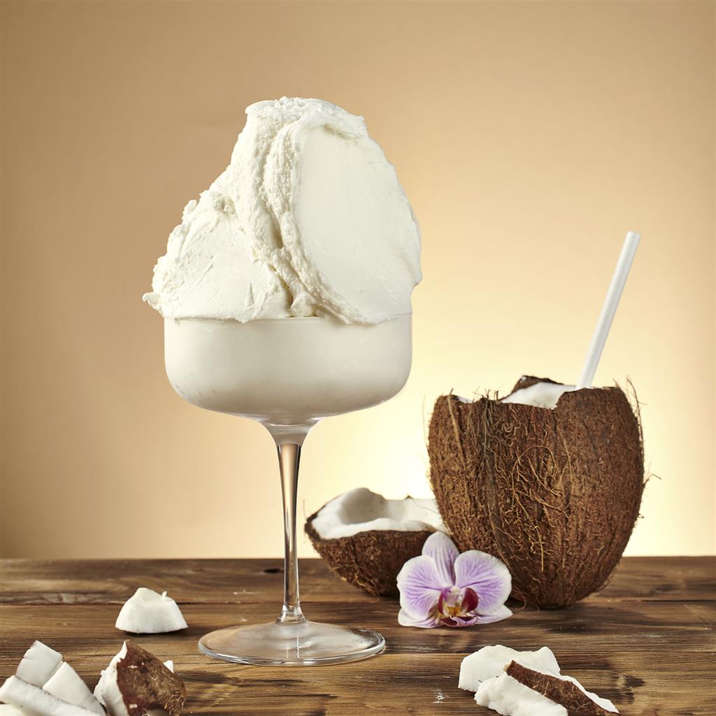 Pregel - Tropical Coconut Sorbetto (10 x 1.35 kg Case)
