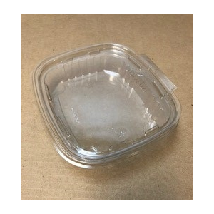Plastic Takeout Container