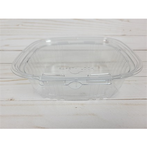 Plastic Takeout Container