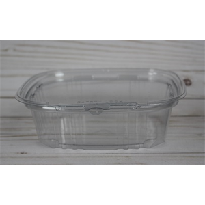 Plastic Takeout Container