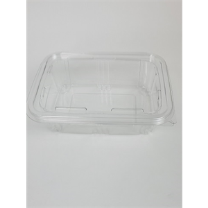 Plastic Takeout Container