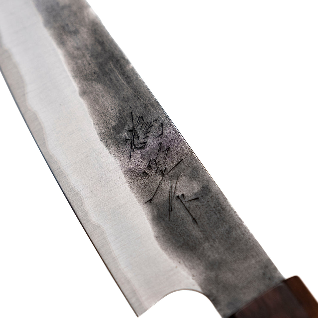 Kenshiro Hatono AO Petit 135 mm