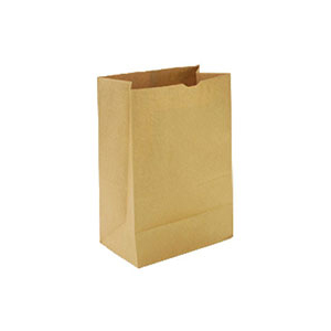 Paper Bag