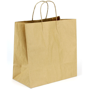 Paper Bag with Twisted Handle