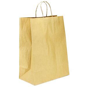 Paper Bag with Twisted Handle