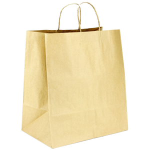 Paper Bag with Twisted Handle