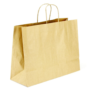 Paper Bag with Twisted Handle