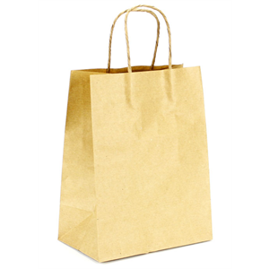 Paper Bag with Twisted Handle