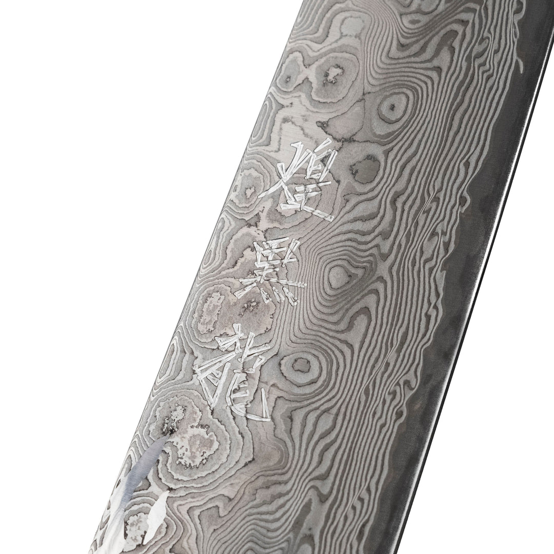 Couteau à aiguiser Ryusen Hamono Oukoku-ryu Sujihiki 255 mm