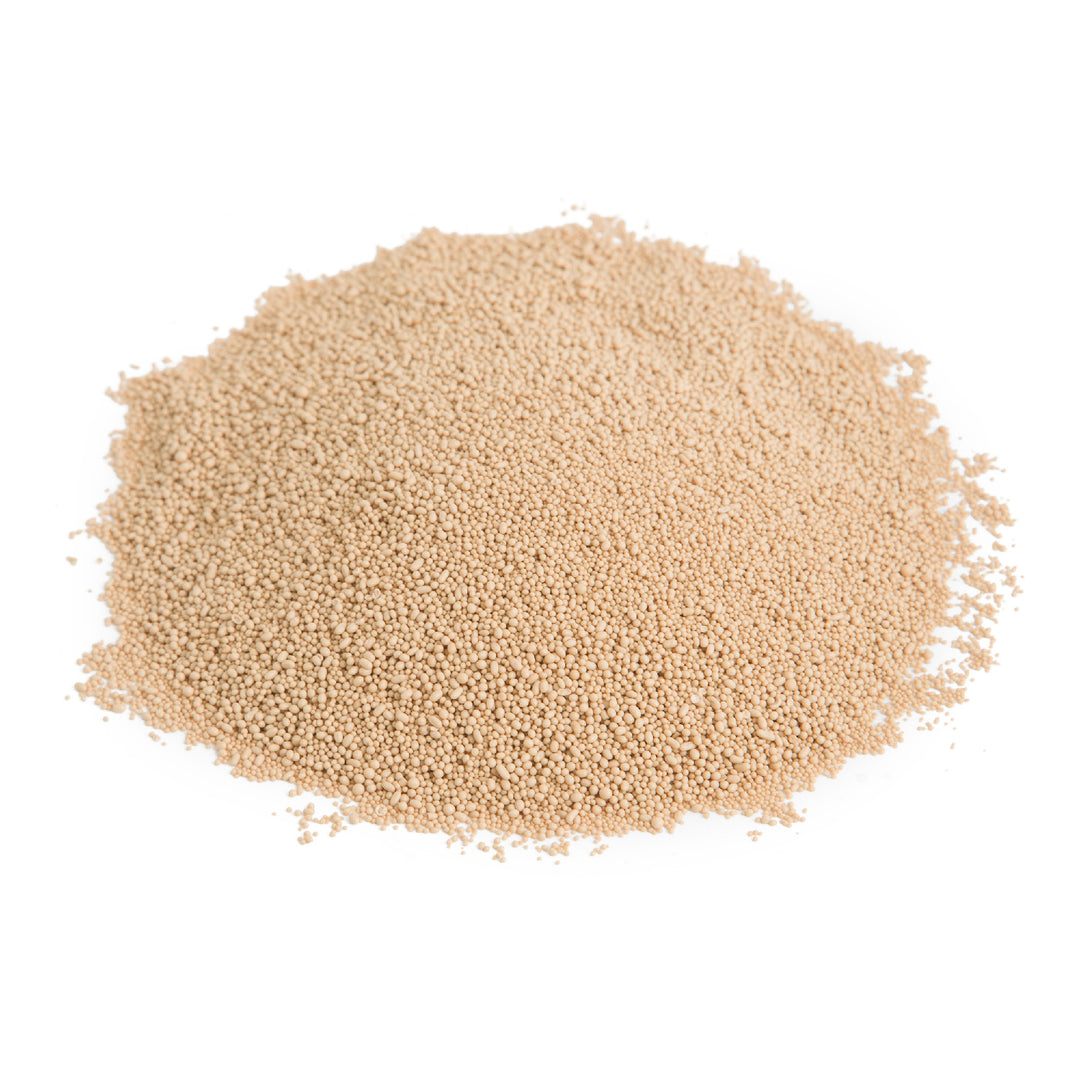 Yeast Active Dry - 2 lbs (Case = 12 x 2 lbs) - Fleischmans - Baking Mixes and Ingredients - Canadian Distribution