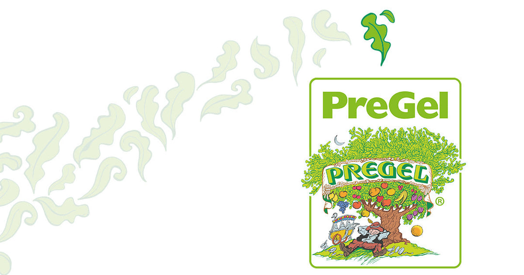 Pregel Canada Gelato Mixes and Bases