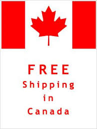 Why Our Free Shipping Feature is More Important Than Ever