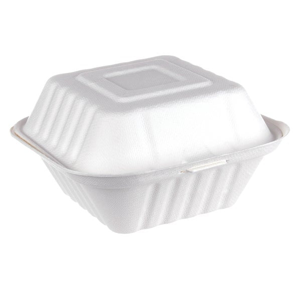 iEco Hinged Bagasse Container 6 in × 6 in - 5 packs of 50  - Disposables, Restaurant Packaging and Take-Out Supplies - Canadian Distribution - Ships Free Within Canada on Orders Above CAD $199
