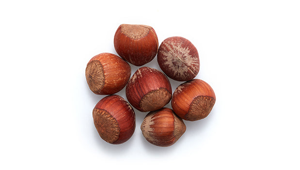 Filberts In Shell - 50 Lbs Bag - Canadian Distribution - Ships Free Within Canada on Orders Above CAD $199
