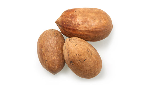 Pecans In Shell - 55.12 Lbs Bag - Canadian Distribution - Ships Free Within Canada on Orders Above CAD $199