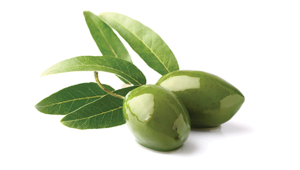 Whole Green Olives With Pits - 26.45 Lbs Box - Canadian Distribution - Ships Free Within Canada on Orders Above CAD $199
