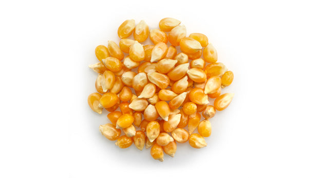 Popping Corn - 50 lb - Canadian Distribution