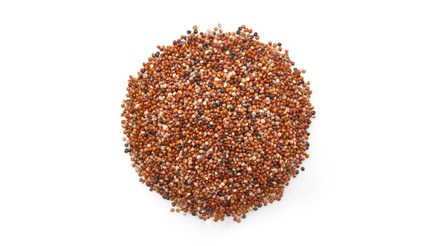 Kaniwa Seeds - 22.05 Lbs Box - Canadian Distribution - Ships Free Within Canada on Orders Above CAD $199