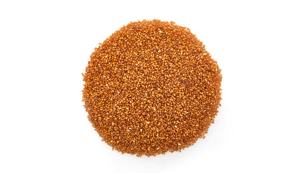 Teff Seeds - 55.12 Lbs Box - Canadian Distribution - Ships Free Within Canada on Orders Above CAD $199