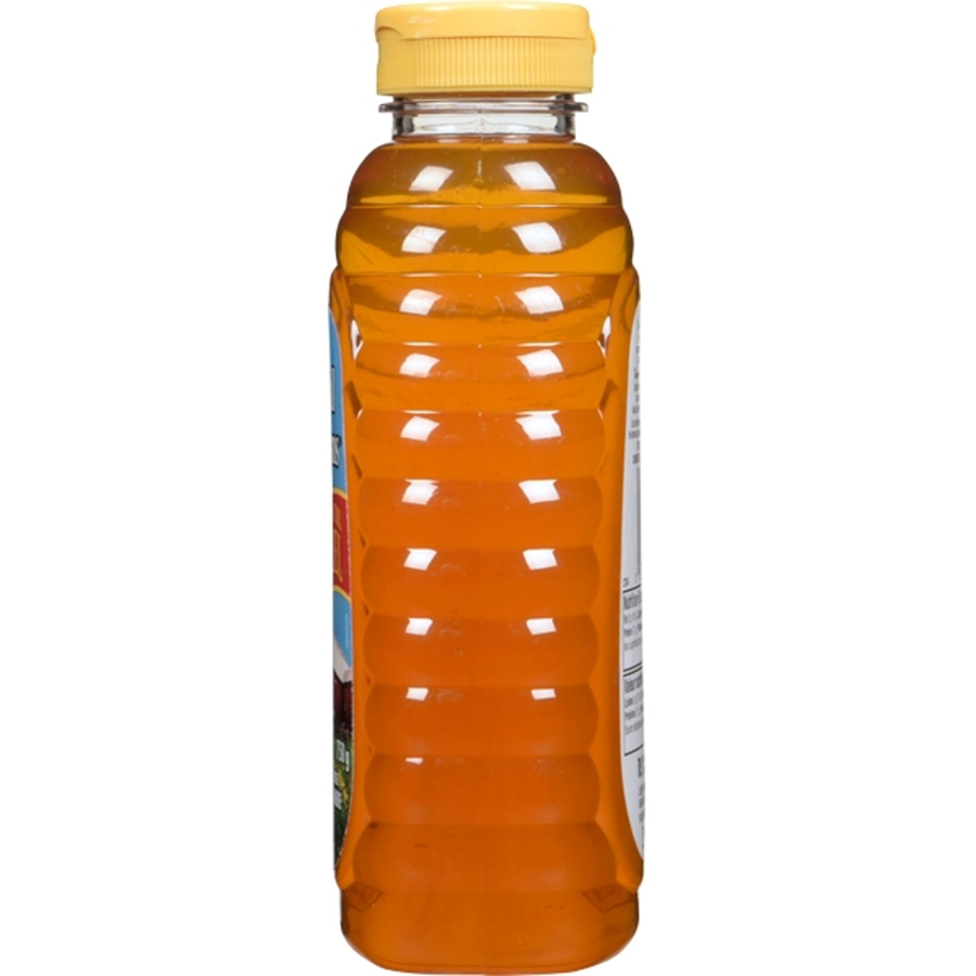 McCormicks - Liquid Squeeze Pure Natural Honey - 750 g - Canadian Distribution