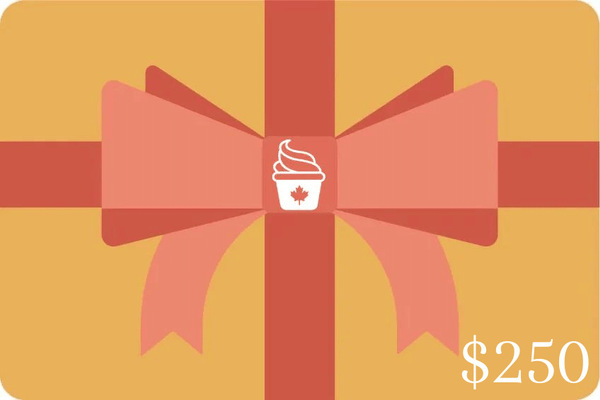 Carte-cadeau Fun Foods Canada de 250 $ - À offrir gratuitement avec un achat de 1 000 $ de notre collection de soldes des Fêtes 2023