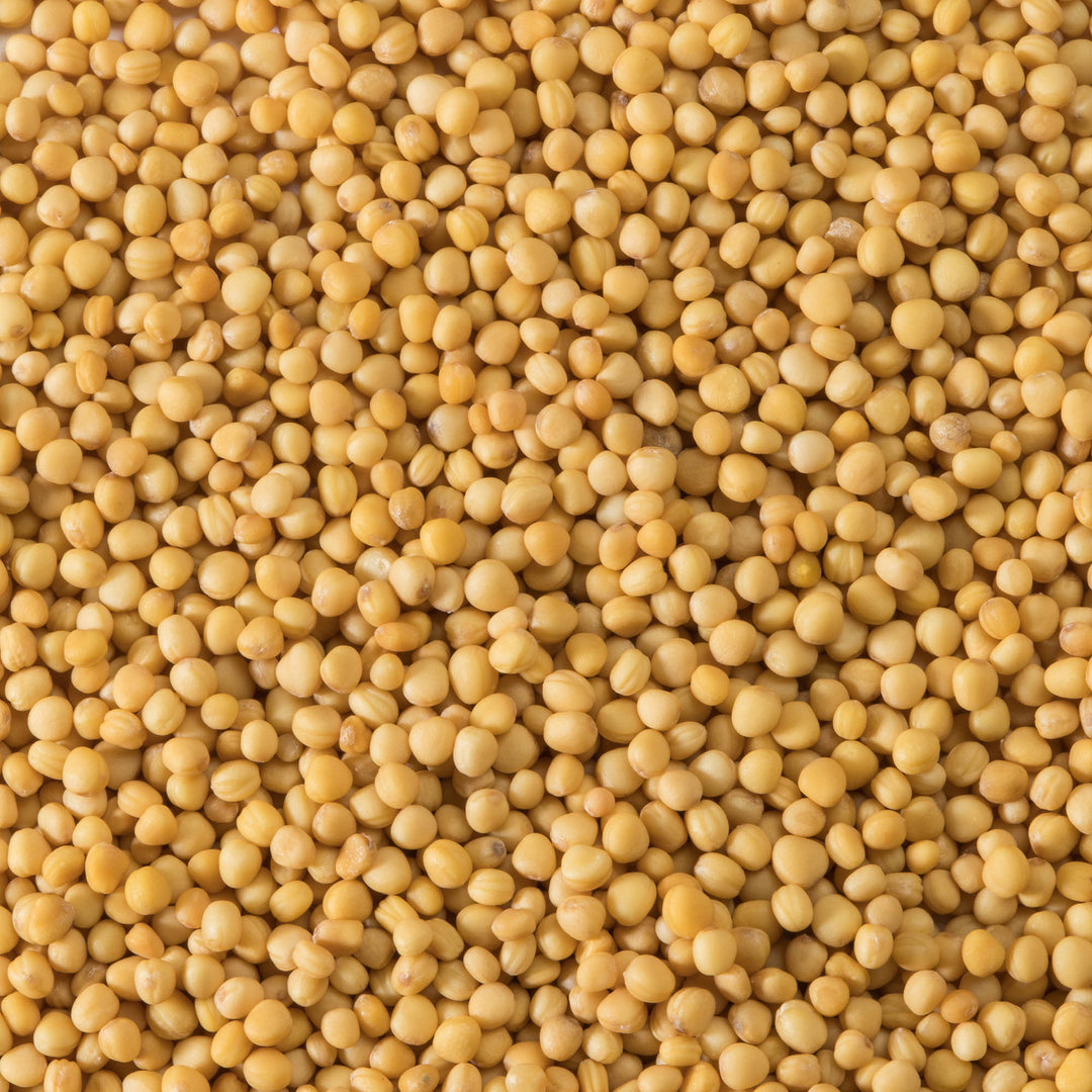 Spice Mustard Seeds - 12 x 750 g (Case = 1 x 750 g) - Clubhouse - Restaurant and Foodservice Ingredients - Canadian Distribution