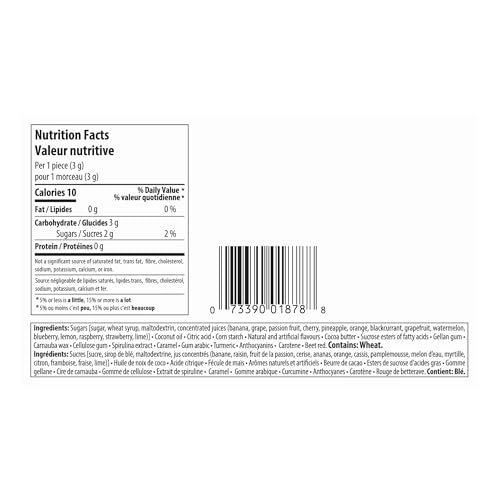 Mentos Discovery Chewy Mints - 20 Roll Pack (280 Pieces Total) - Canadian Distribution - Ships Free Within Canada on Orders Above CAD $199