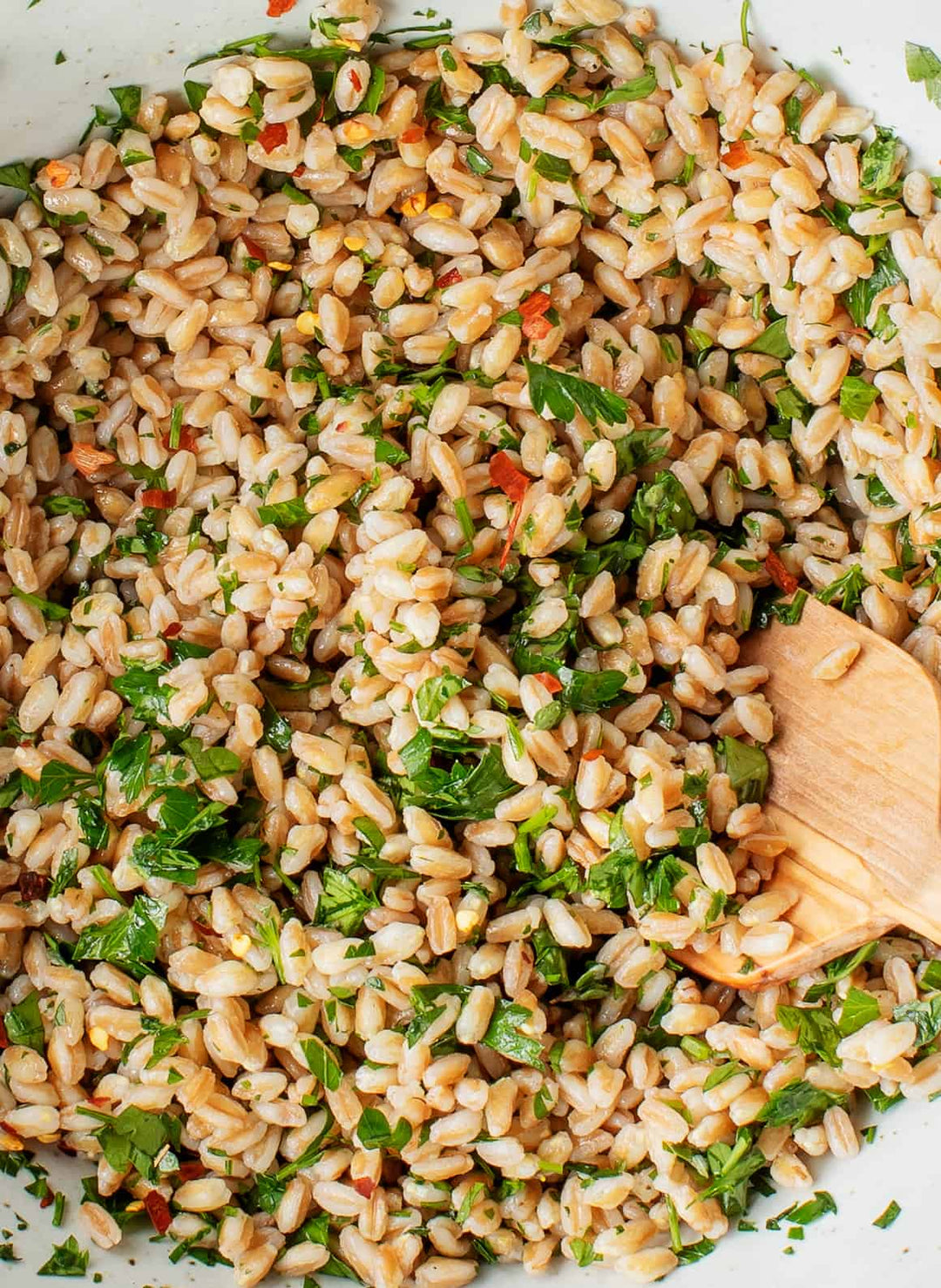 Grain Wheat Farro Organic - 1 x 2.27 kg - Shoal Lake Wild - Restaurant and Foodservice Ingredients - Canadian Distribution