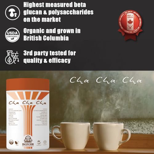 Pacific Rim Mushrooms – Cha Cha Cha Mushroom Cacao – Chai Spice – 8 Mushroom Blend – Energy and focus