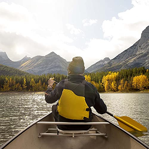 Thrive Provisions – Wagyu Beef Bars – Variety Pack – 12 × 43 g