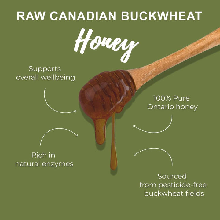 Oneroot – Canadian Raw Buckwheat Honey – Unpasteurized – 3 kg