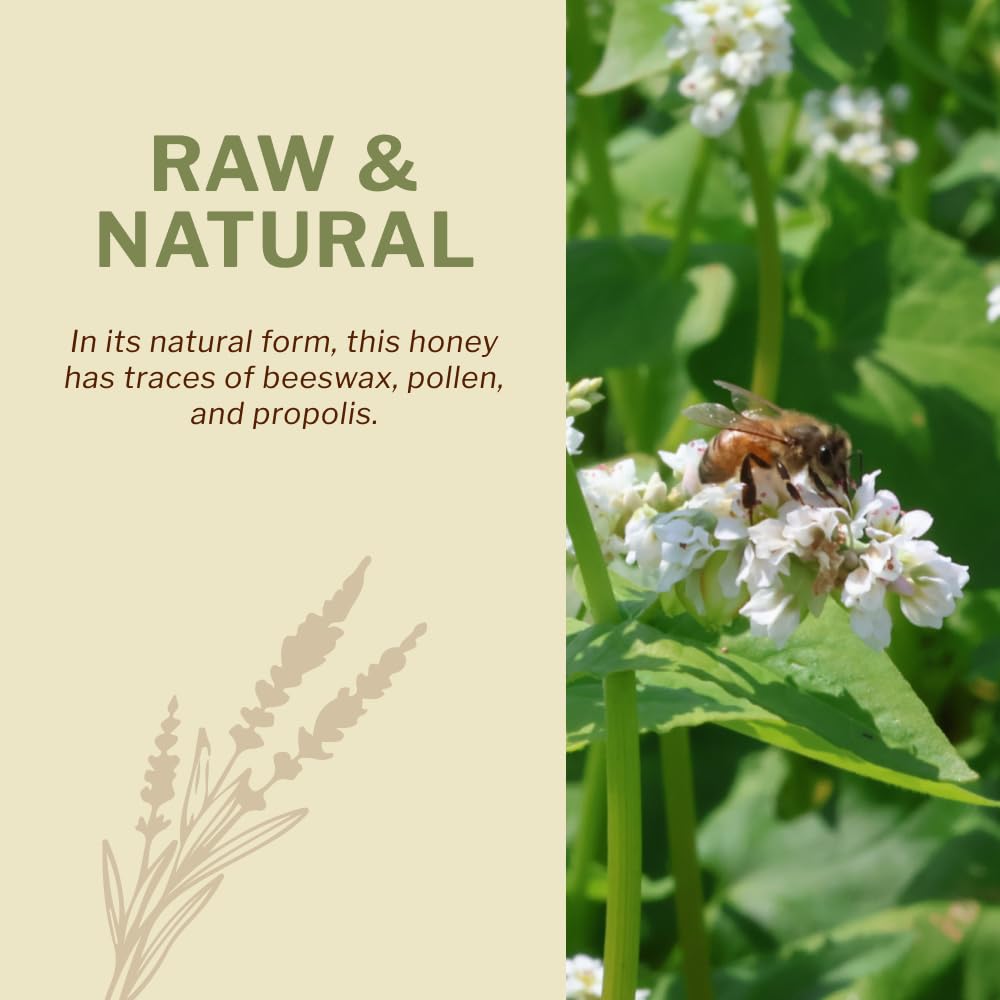 Oneroot – Canadian Raw Buckwheat Honey – Original – 1kg – High antioxidants