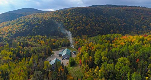 Escuminac – Maple Syrup – Extra Rare – 500 ml