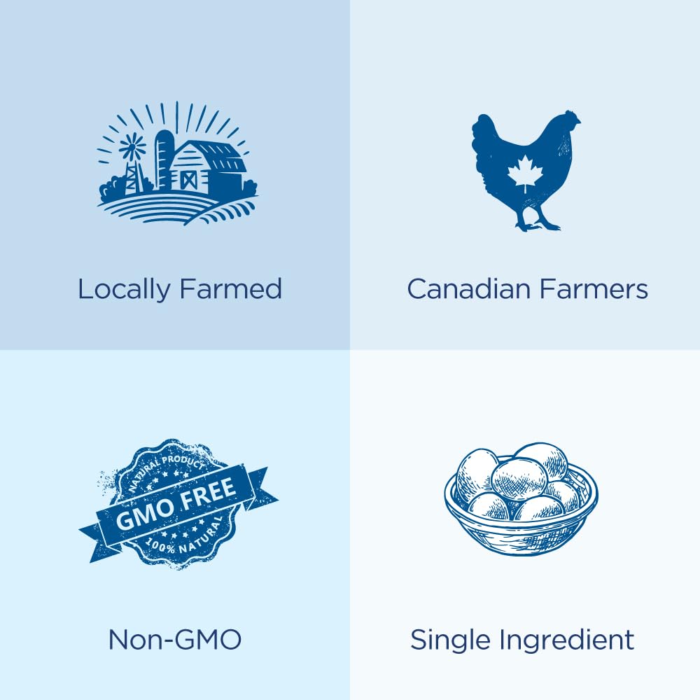 Rise Nutrition – 100% Egg White Protein Powder – Unflavored – 500g