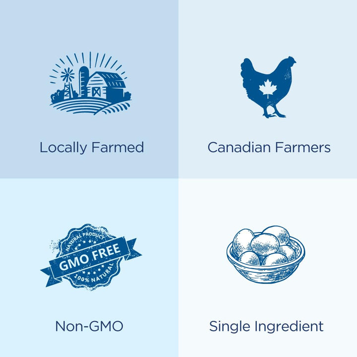 Rise Nutrition – 100% Egg White Protein Powder – Unflavored – 500g