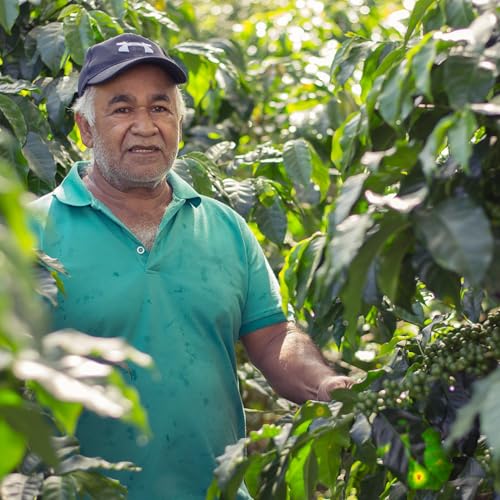 Equator Coffee Roasters – North Star Espresso Blend – Cocoa and Dark Cherry – 12oz – Organic