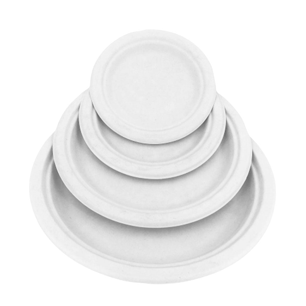 Compostable Plates - 1000 plates per case - Sold By The Case – Fun ...
