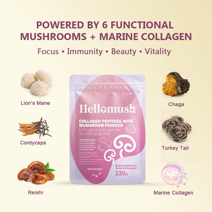 Hellomush – Marine Collagen Peptides – Original – 330g – With mushroom complex