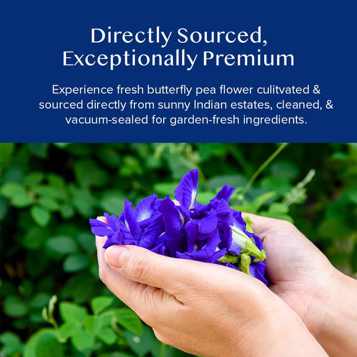 VAHDAM Butterfly Pea Flower Tea - 2 x 1.76oz Loose Leaf | 100+ Servings | Earthy & Delicate Flavor - Canadian Distribution - Ships Free Within Canada on Orders Above CAD $199