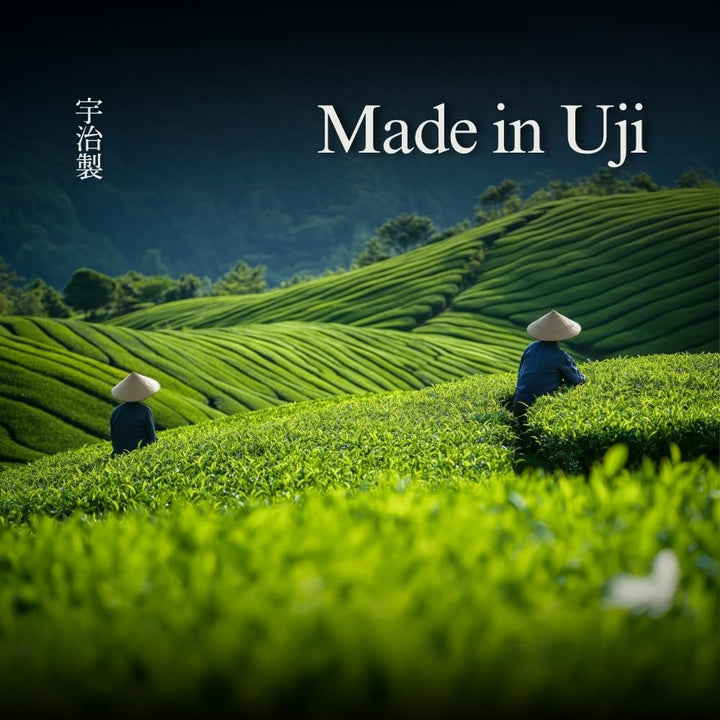 Yedoensis – Ceremonial Uji Matcha – Japanese Green Tea – 40g