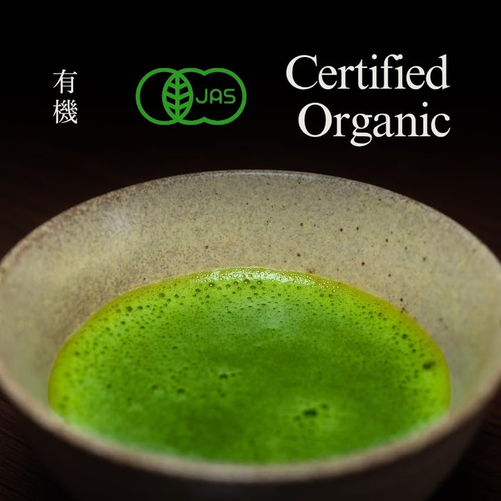 Yedoensis – Pure Ceremonial Matcha “Somei-Yoshino” – Organic – 40g
