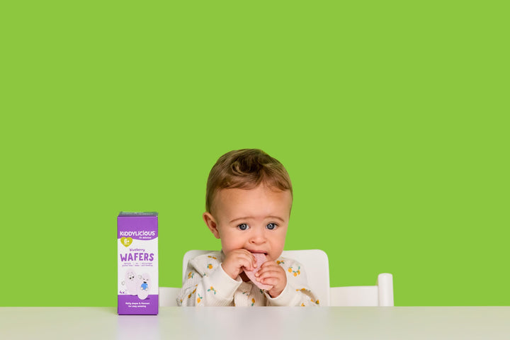 Kiddylicious Blueberry Wafers – Gentle Baby Snacks for 6+ Months – Gluten-Free, Dairy-Free, Egg-Free, Vegan – 24 Portions, 96g - Canadian Distribution - Ships Free Within Canada on Orders Above CAD $199