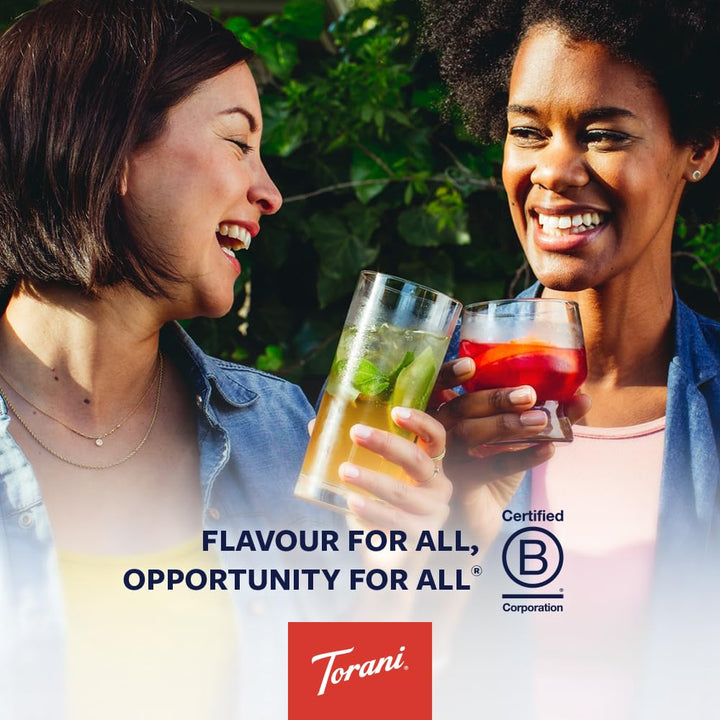 Torani Sugar-Free Classic Hazelnut Syrup – 4-Pack (750ml Bottles) - Canadian Distribution - Ships Free Within Canada on Orders Above CAD $199