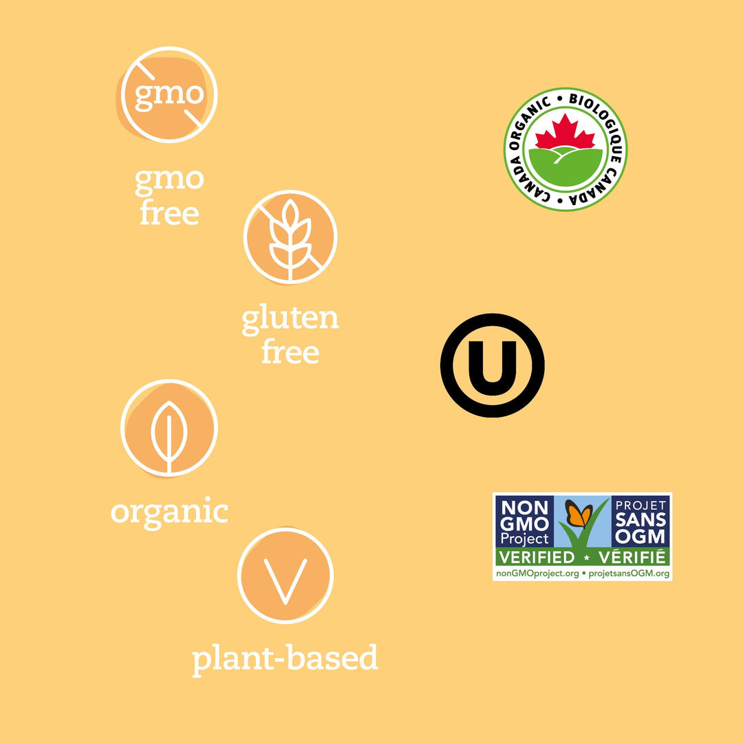 Prana Organic Medjool Dates | Premium Whole Fruit Snack | High in Fibre | Non-GMO, Gluten-Free, Vegan | 2 x 250g - Canadian Distribution - Ships Free Within Canada on Orders Above CAD $199