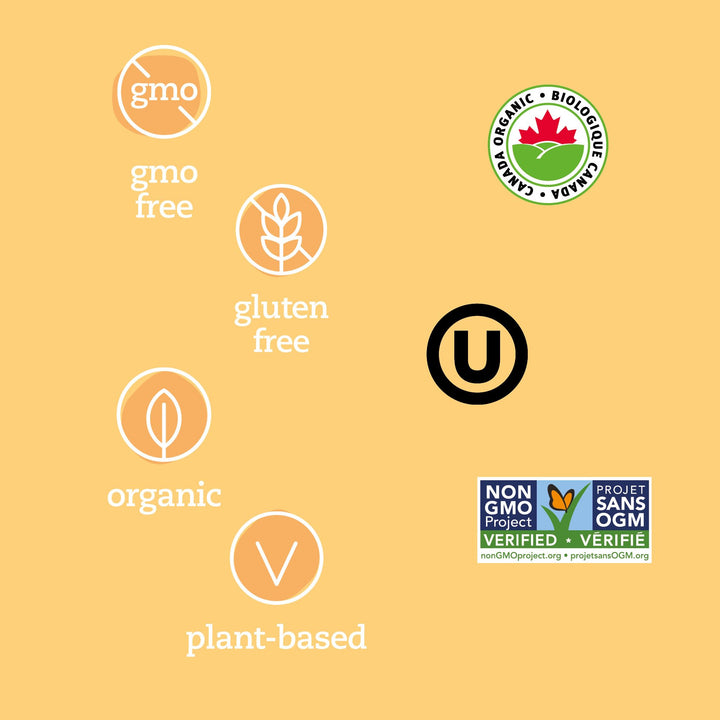 Prana Organic Medjool Dates | Premium Whole Fruit Snack | High in Fibre | Non-GMO, Gluten-Free, Vegan | 2 x 250g - Canadian Distribution - Ships Free Within Canada on Orders Above CAD $199