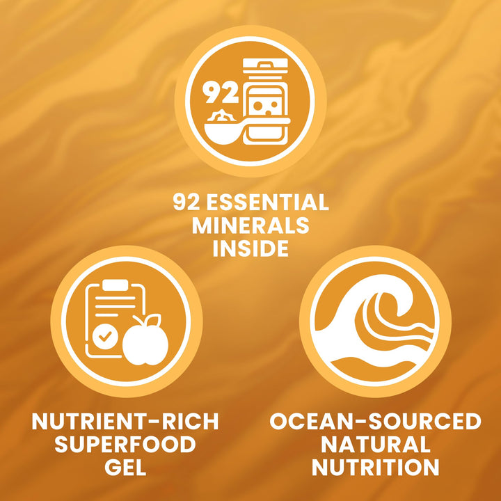 TrueSeaMoss – Mango Pineapple Sea Moss Gel – 473mL